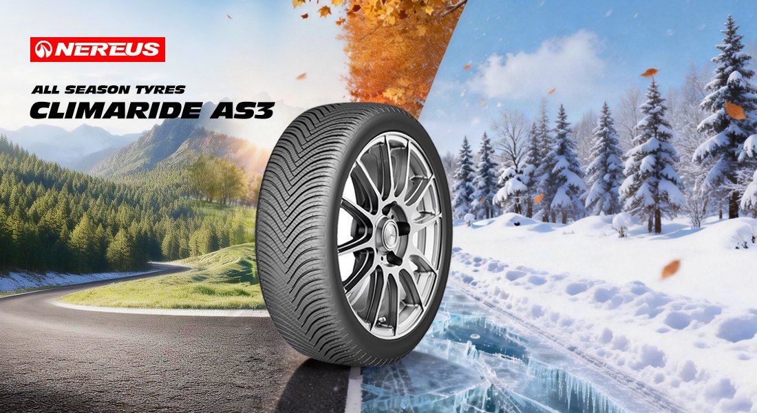 winter tires year round